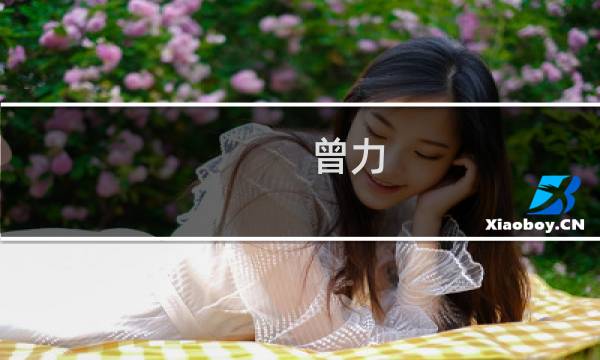 曾力(关于曾力的简介)图片