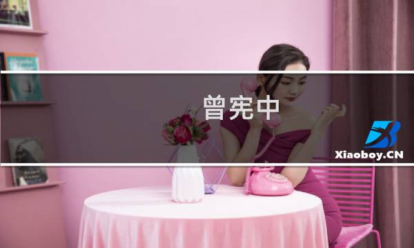 曾宪中(关于曾宪中的简介)