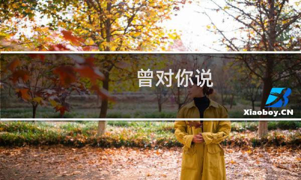 曾对你说(关于曾对你说的简介)图片