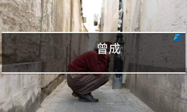 曾成图片