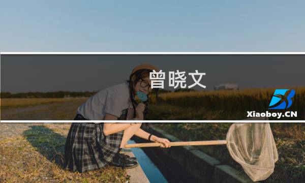 曾晓文(关于曾晓文的简介)