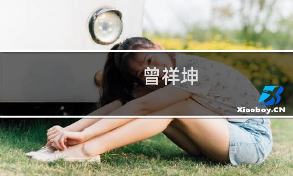 曾祥坤(关于曾祥坤的简介)图片