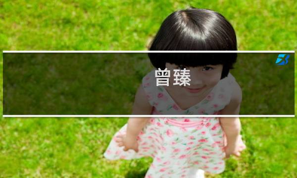 曾臻(关于曾臻的简介)图片