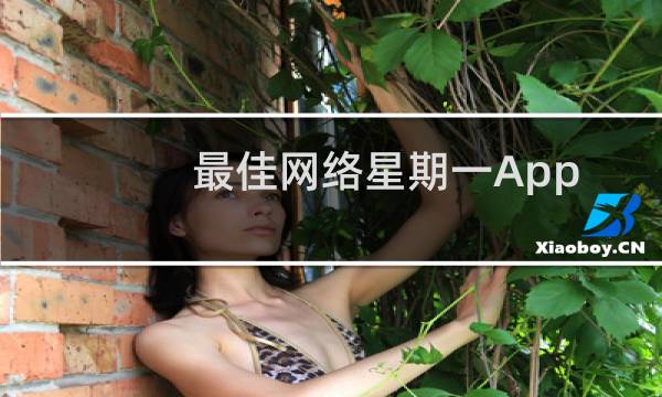 最佳网络星期一AppleWatch表带优惠图片