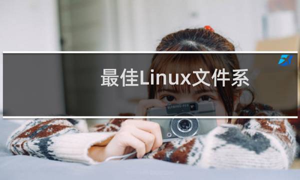 最佳Linux文件系统清理工具