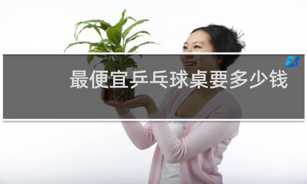 最便宜乒乓球桌要多少钱