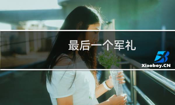 最后一个军礼(关于最后一个军礼的简介)