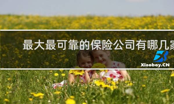最大最可靠的保险公司有哪几家