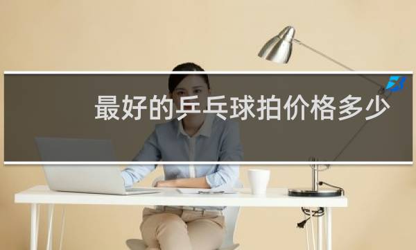 最好的乒乓球拍价格多少