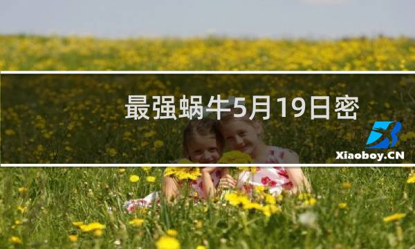 最强蜗牛5月19日密令分享