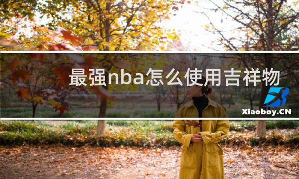 最强nba怎么使用吉祥物