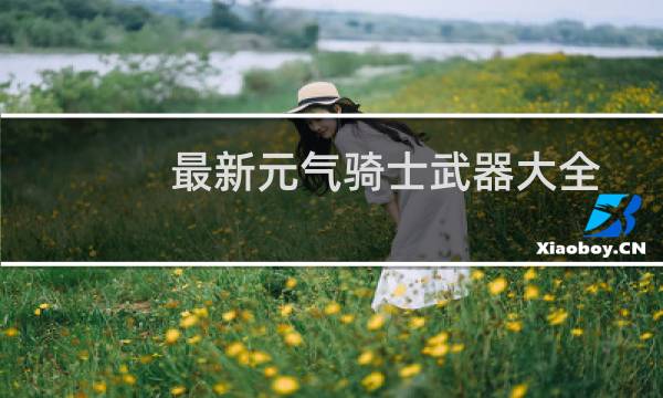 最新元气骑士武器大全