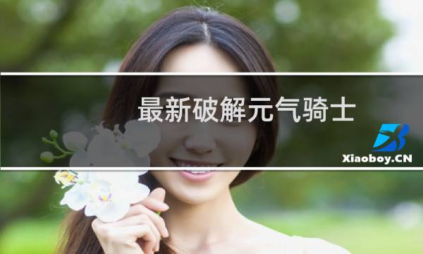 最新破解元气骑士