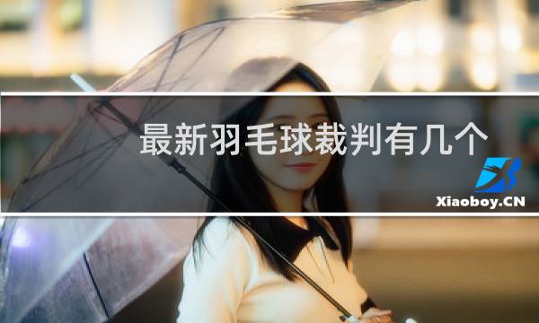 最新羽毛球裁判有几个