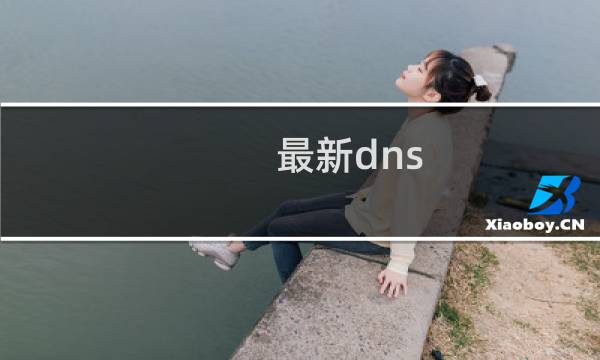 最新dns