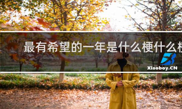 最有希望的一年是什么梗什么梗