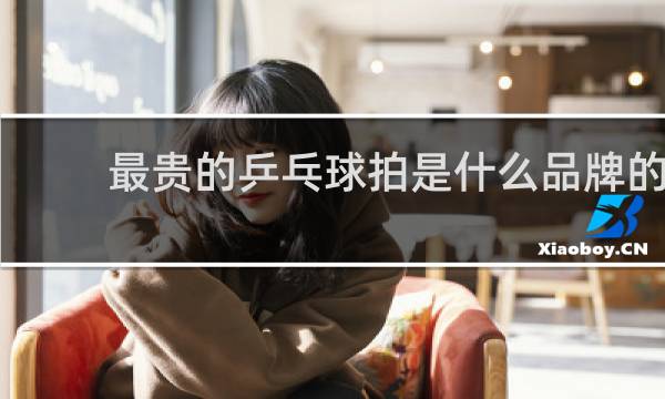最贵的乒乓球拍是什么品牌的