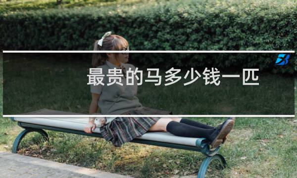 最贵的马多少钱一匹