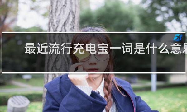 最近流行充电宝一词是什么意思
