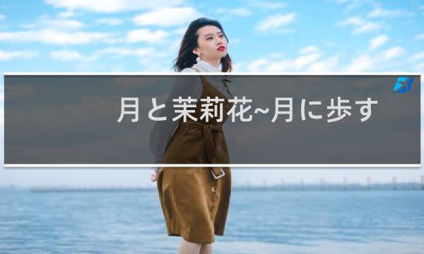 月と茉莉花~月に歩す~(关于月と茉莉花~月に歩す~的简介)