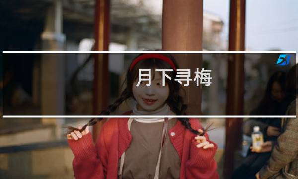 月下寻梅(关于月下寻梅的简介)图片