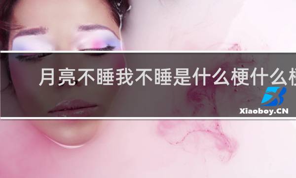月亮不睡我不睡是什么梗什么梗