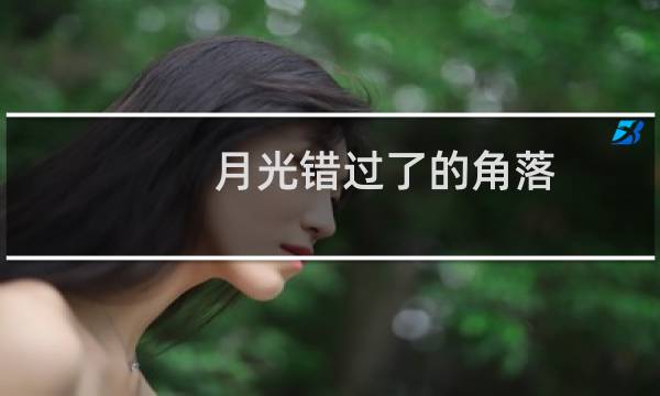 月光错过了的角落(关于月光错过了的角落的简介)图片