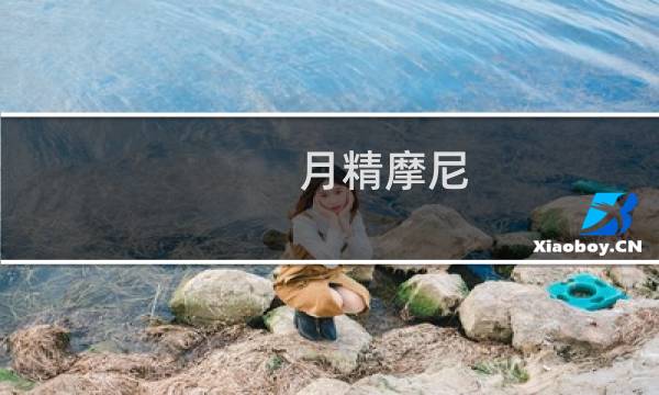 月精摩尼(关于月精摩尼的简介)