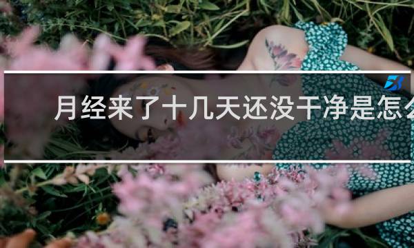 月经来了十几天还没干净是怎么回事