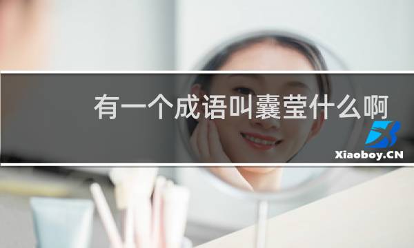 有一个成语叫囊莹什么啊