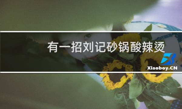 有一招刘记砂锅酸辣烫(关于有一招刘记砂锅酸辣烫的简介)图片