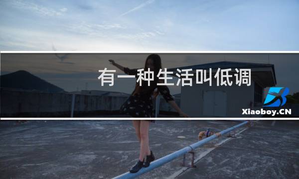 有一种生活叫低调(关于有一种生活叫低调的简介)
