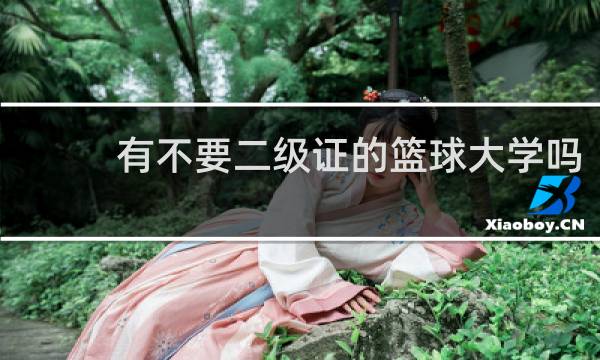 有不要二级证的篮球大学吗