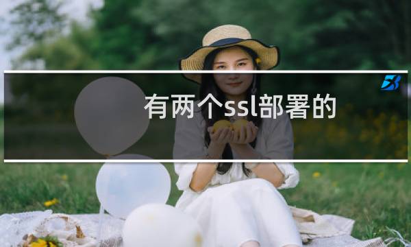 有两个ssl部署的，需要帮忙一下