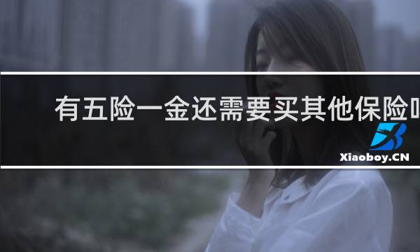 有五险一金还需要买其他保险吗图片