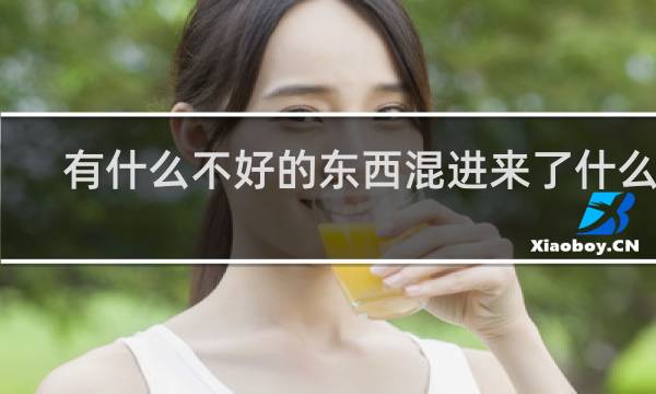 有什么不好的东西混进来了什么梗