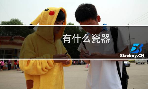 有什么瓷器