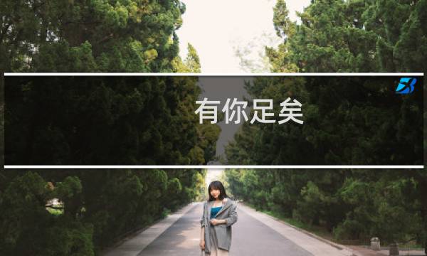 有你足矣(关于有你足矣的简介)