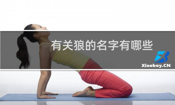 有关狼的名字有哪些（有关狼的名著小说）