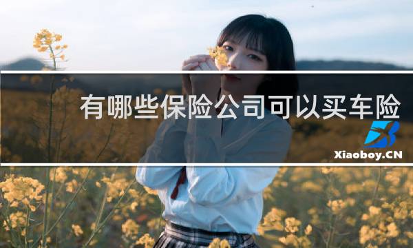 有哪些保险公司可以买车险图片