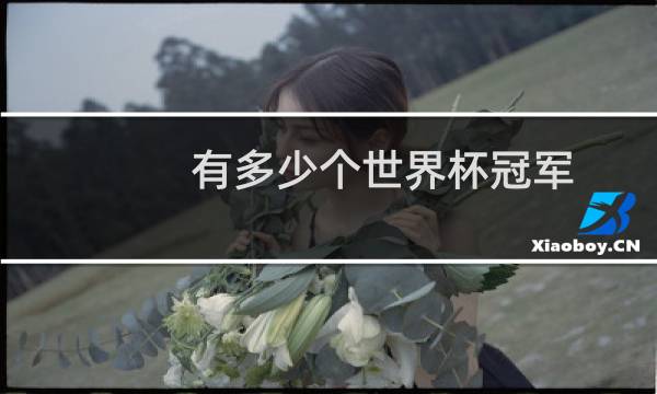 有多少个世界杯冠军