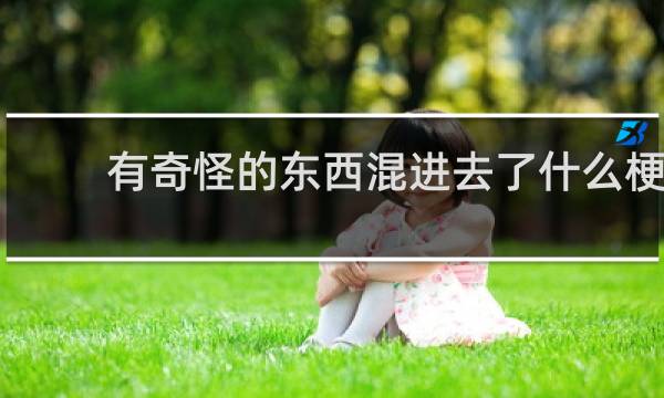 有奇怪的东西混进去了什么梗