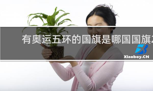 有奥运五环的国旗是哪国国旗2021