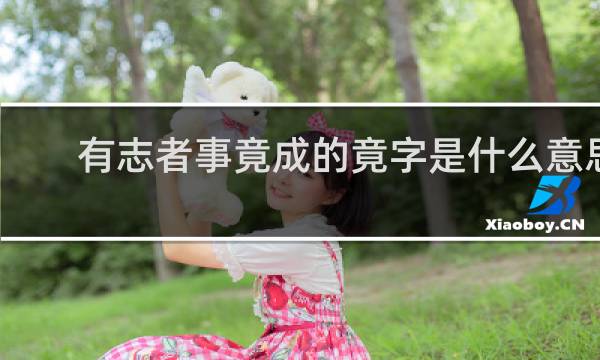 有志者事竟成的竟字是什么意思