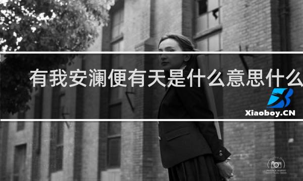 有我安澜便有天是什么意思什么梗