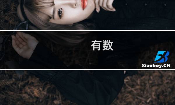 有数(关于有数的简介)图片