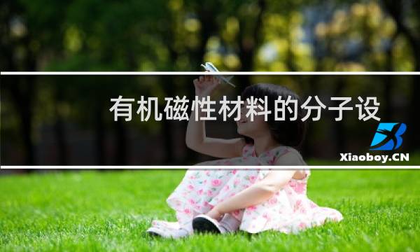有机磁性材料的分子设计(关于有机磁性材料的分子设计的简介)图片