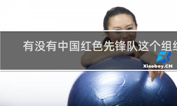 有没有中国红色先锋队这个组织