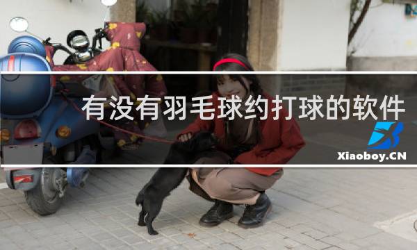 有没有羽毛球约打球的软件