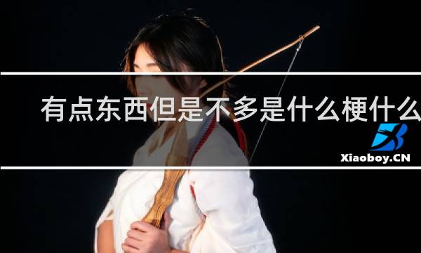 有点东西但是不多是什么梗什么梗